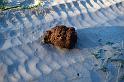 20090604_164823 D3 X1